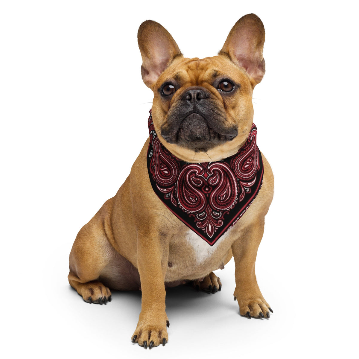 Trinidad & Tobago Paisely Flag Bandana