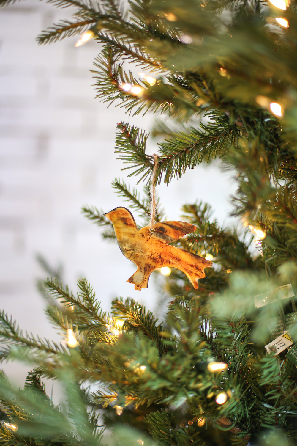 Dove Horn Ornament