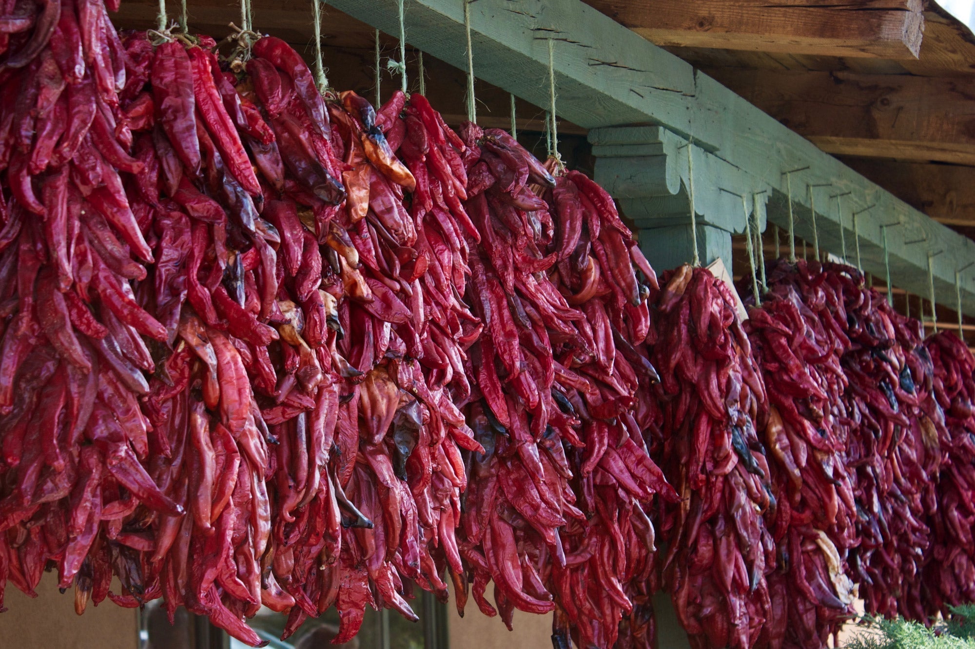 24 Inch Ristras = ORDER NOW BEFORE THEY ARE GONE!