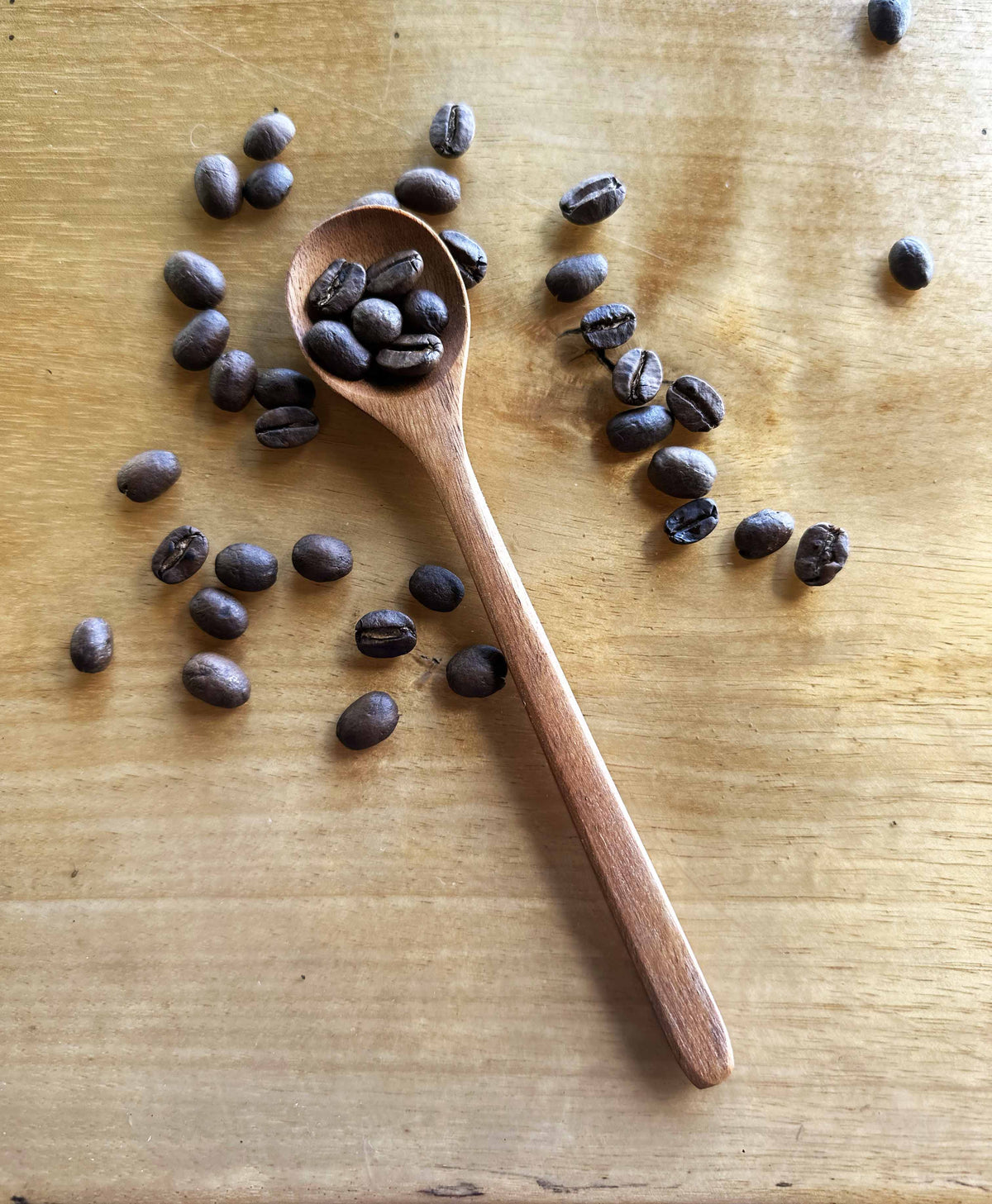 Coffee Scoop