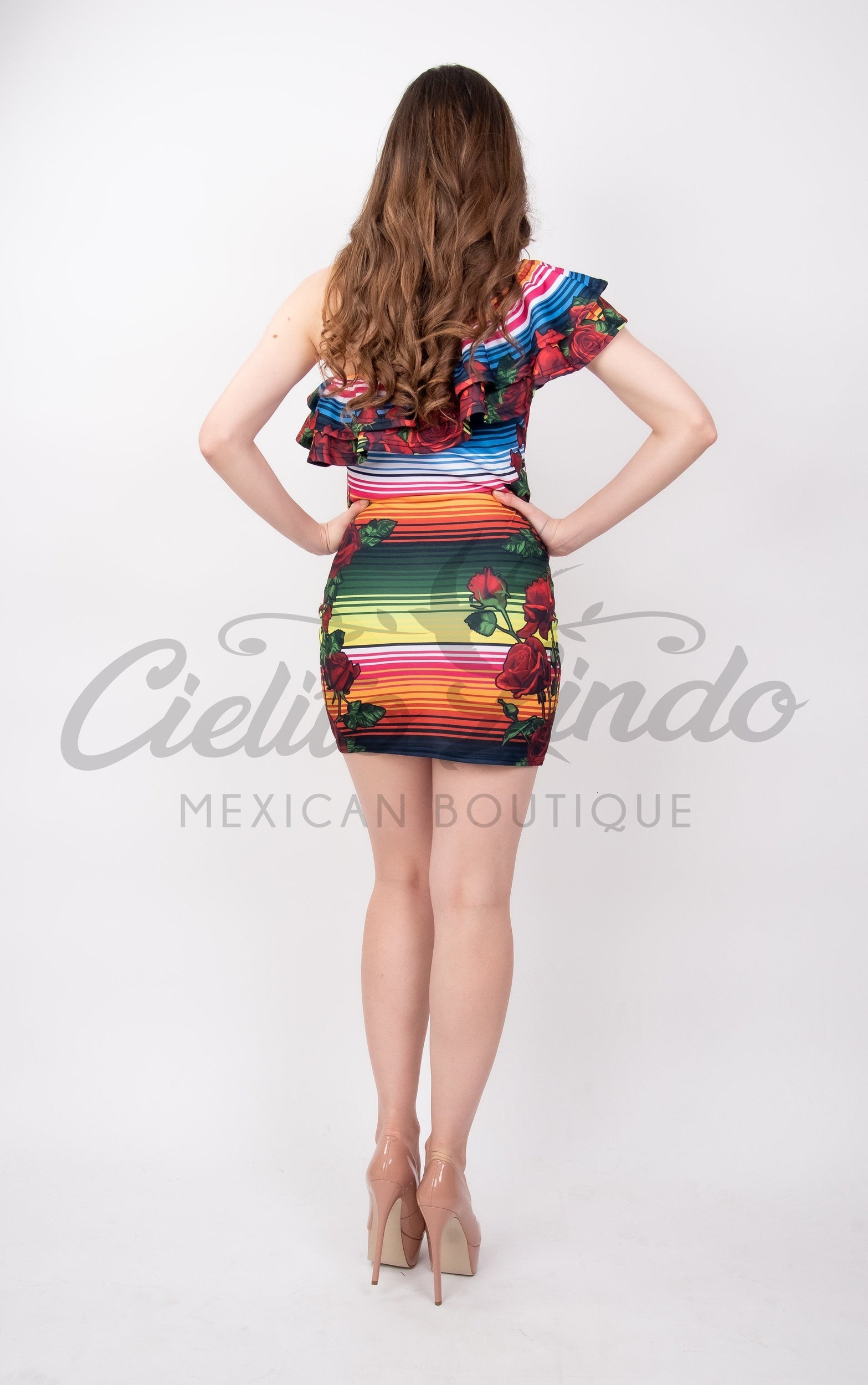 Serape & Red Roses Printed Dress