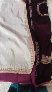Exclusive Tissue Organza Beautiful White Saree