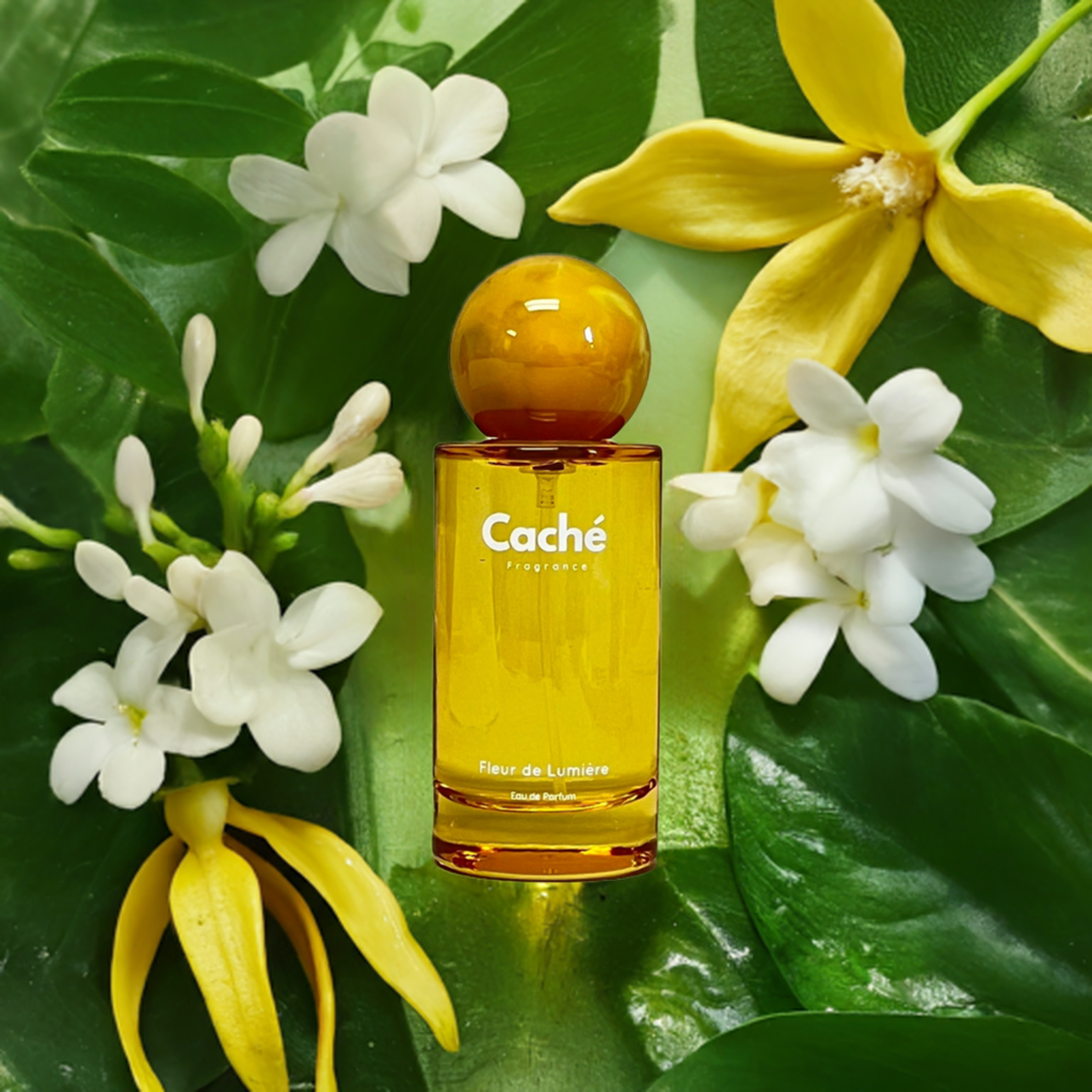Caché - Fleur de Lumière