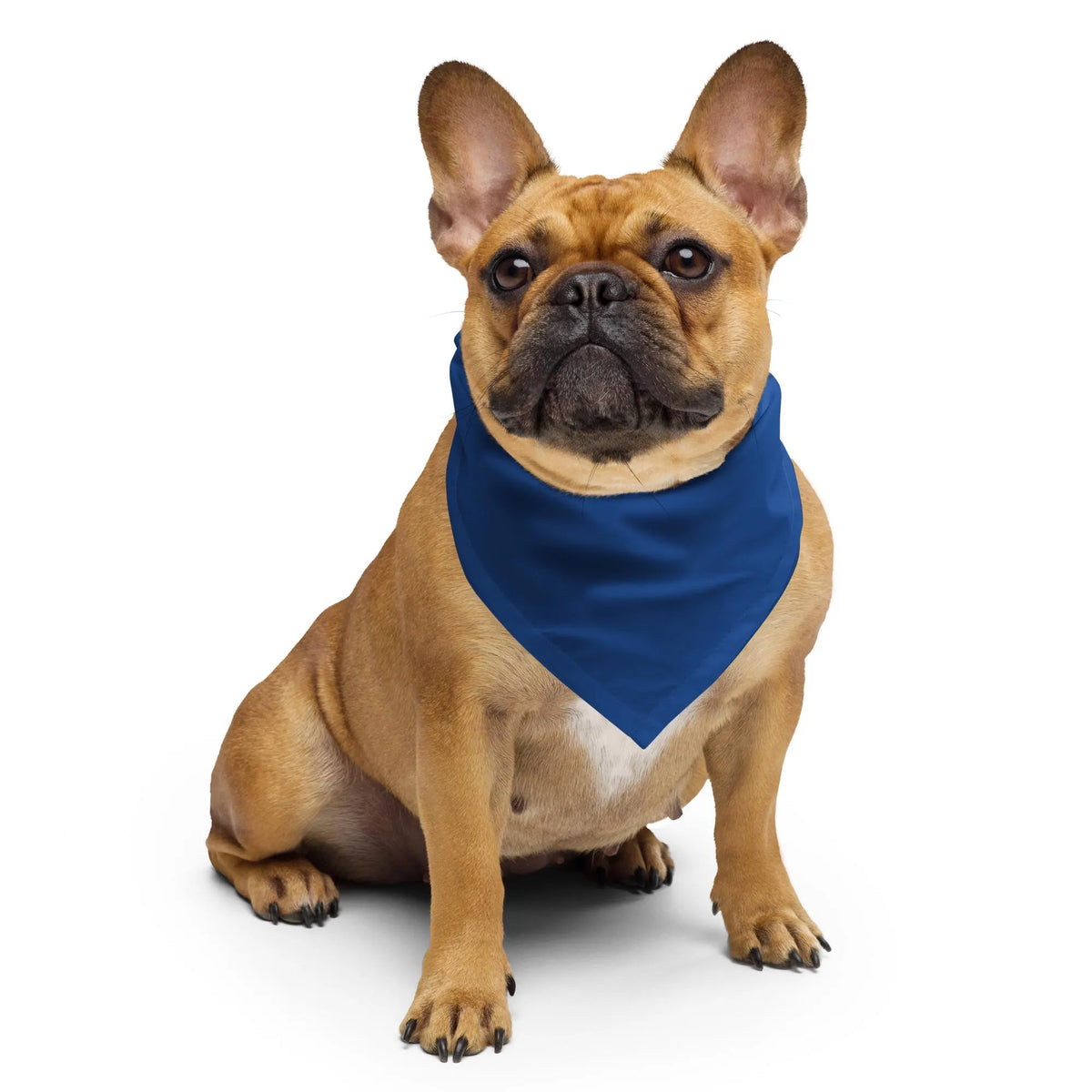 British Virgin Islands Bandana