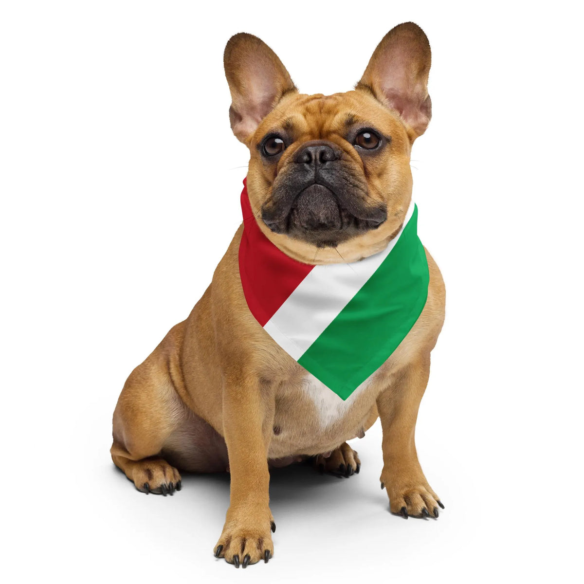 Suriname Flag Bandana