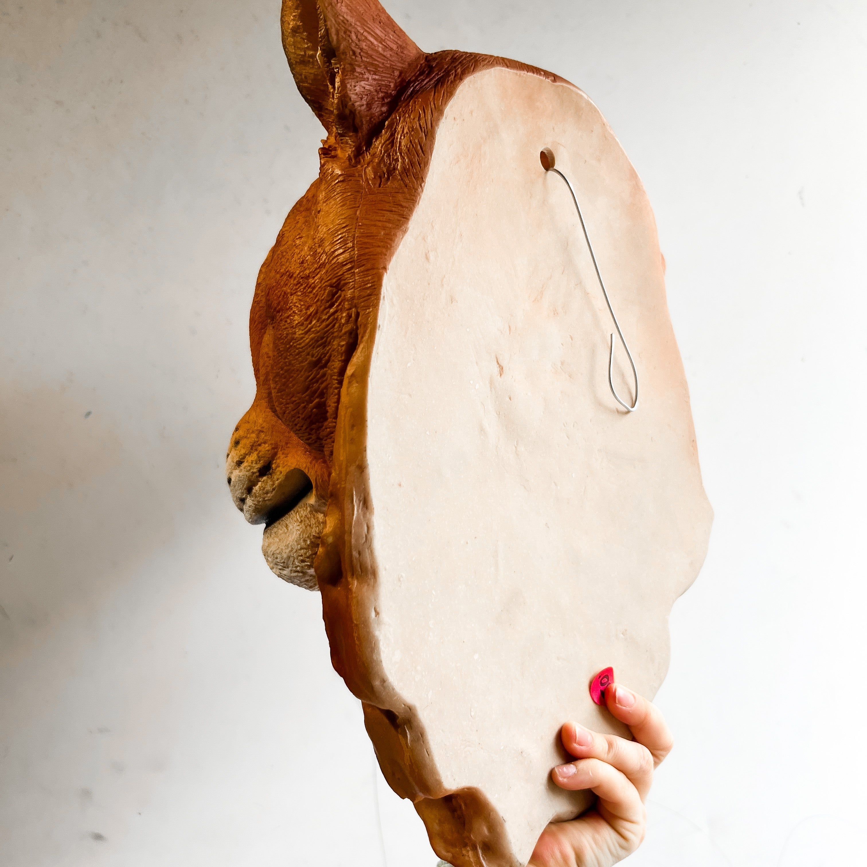 Puma Head Wall Decor