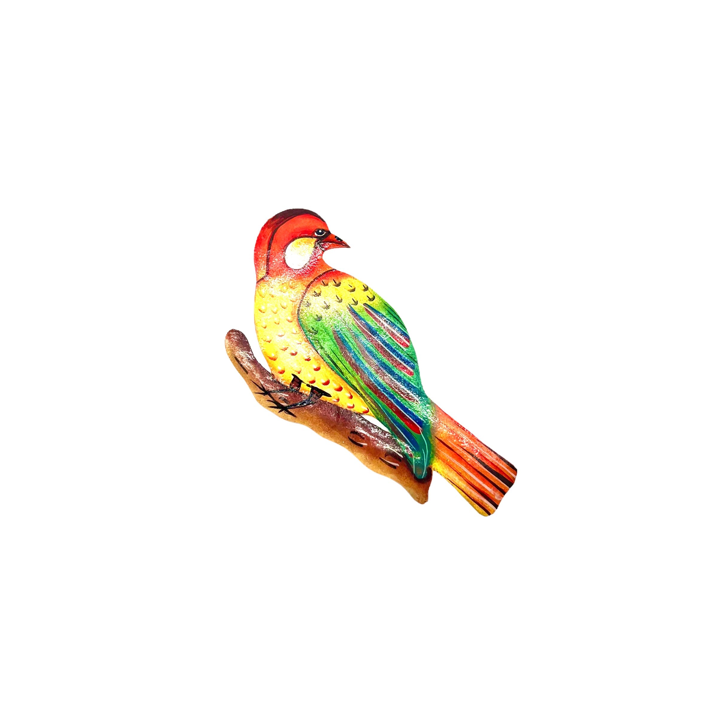 Steel Drum Finch