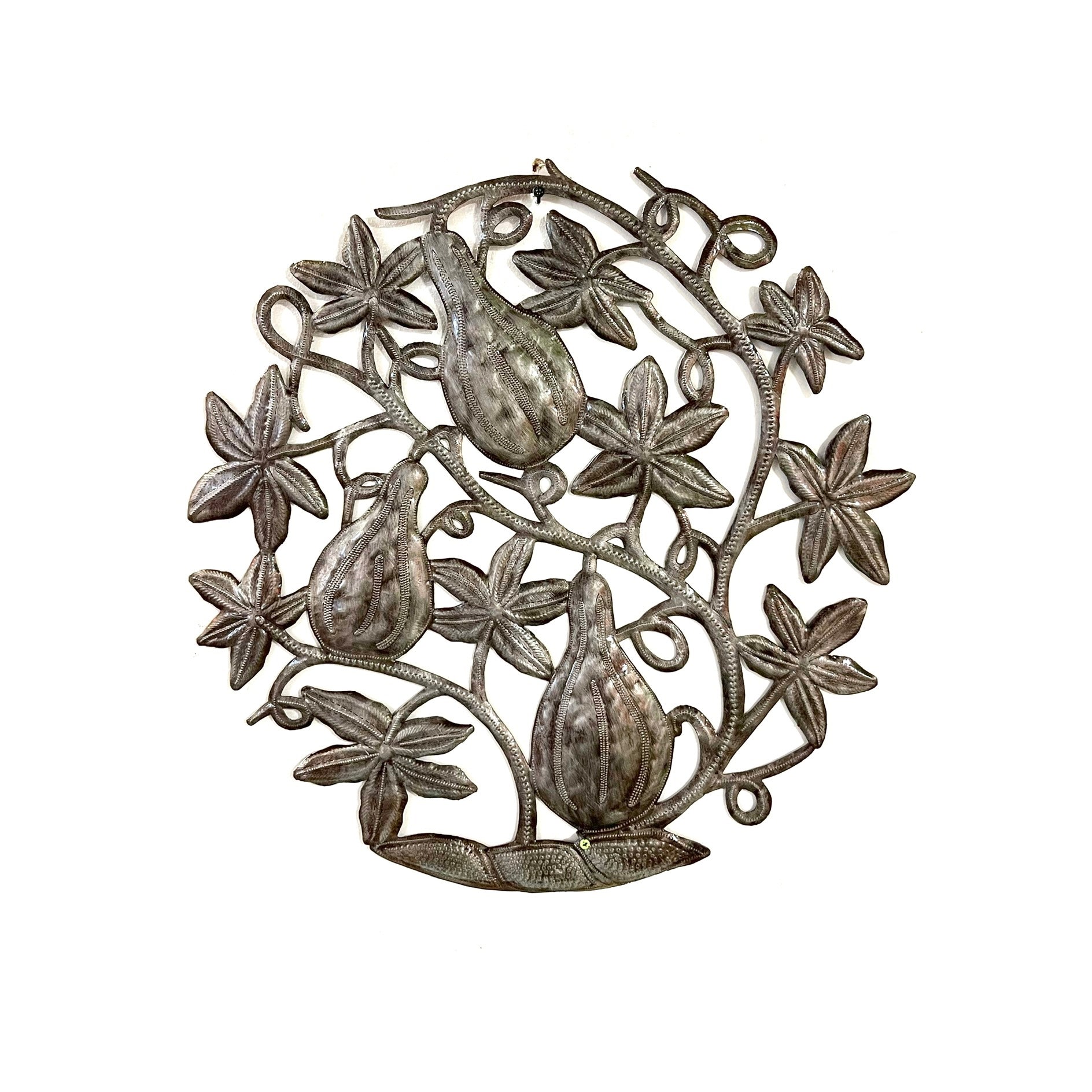 Steel Gourd Plant