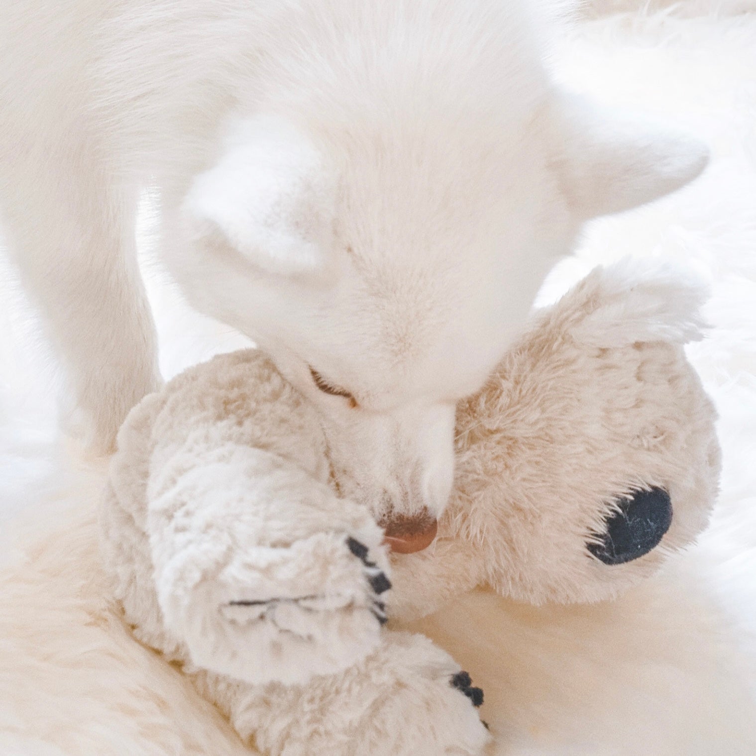 Koko Maxi Plushie