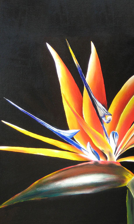 Bird of Paradise Gift Card