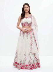 Lehenga Choli set