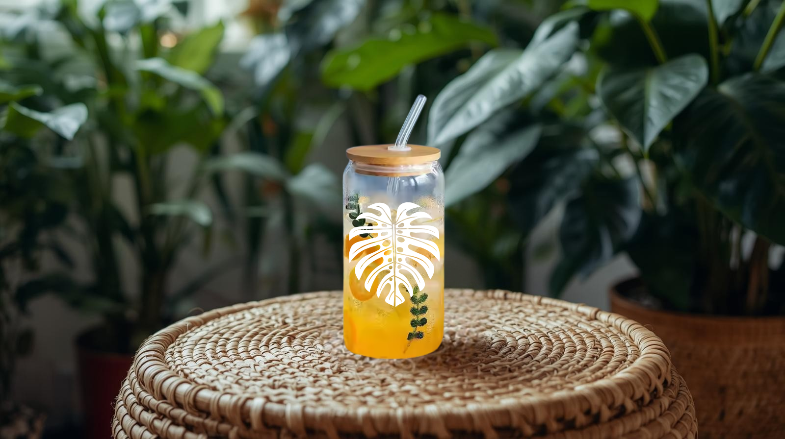Monstera On the Go Glasses