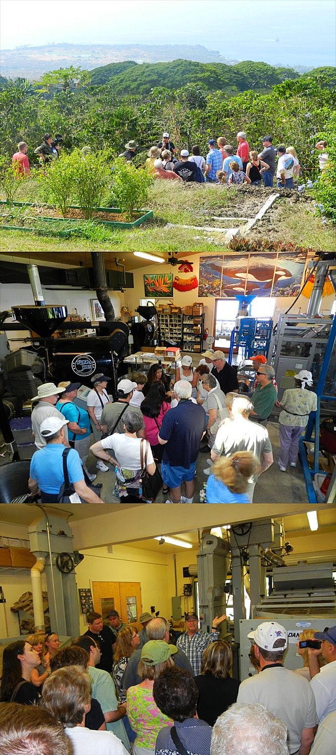 The Kona Joe Coffee Facility Tour