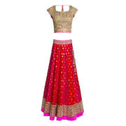 Bollywood inspired Lehenga Choli